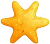 starfish shaped soaps.jpg